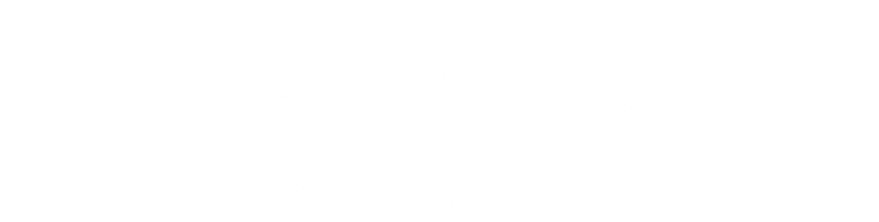 Stake Logo
